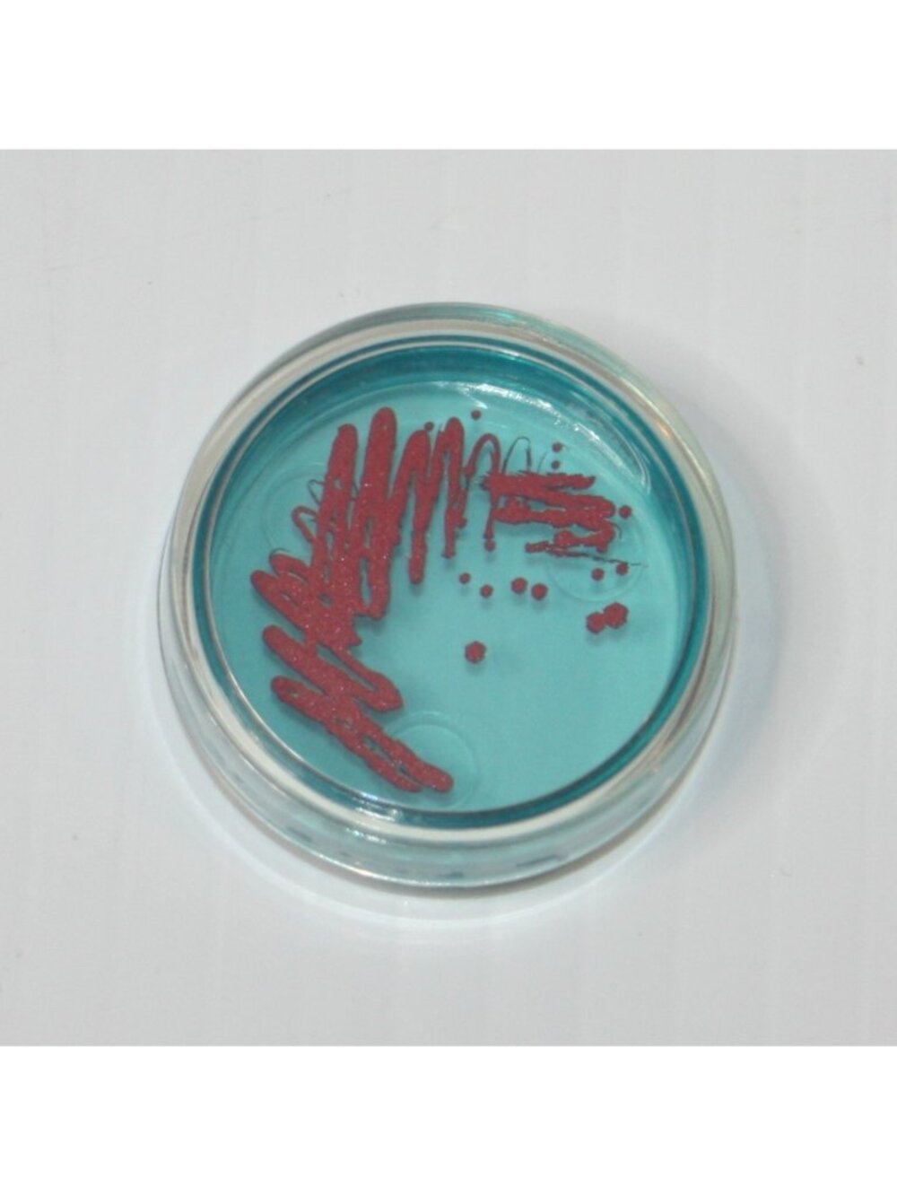 American Girl GOTY 2018 Luciana Pretend Blue Petri Dish from Mars Habitat
